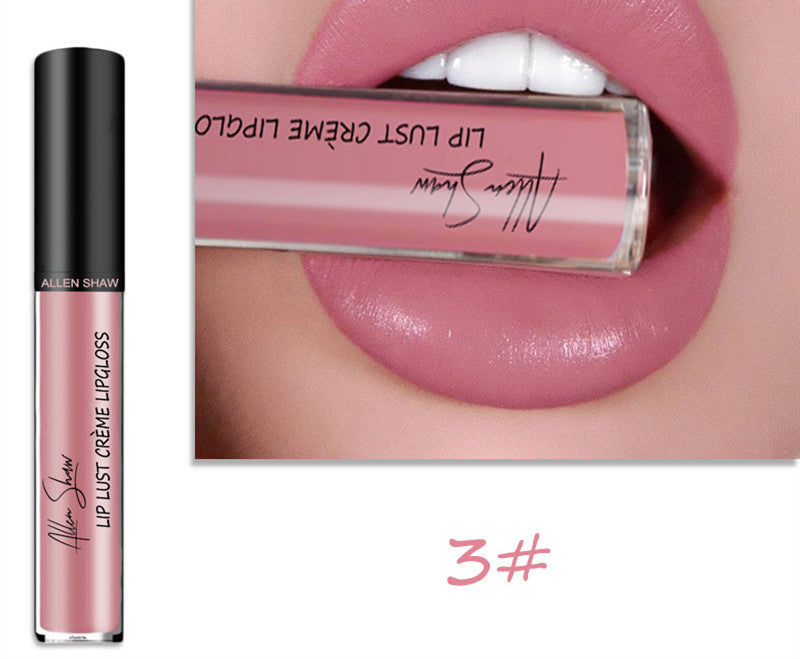 ALLEN SHAW Silky Cream Lip Gloss – Long-Lasting Mineral Lip Glaze (1pc)