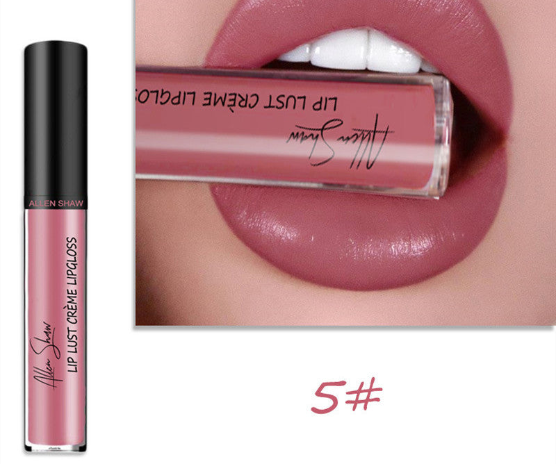 ALLEN SHAW Silky Cream Lip Gloss – Long-Lasting Mineral Lip Glaze (1pc)