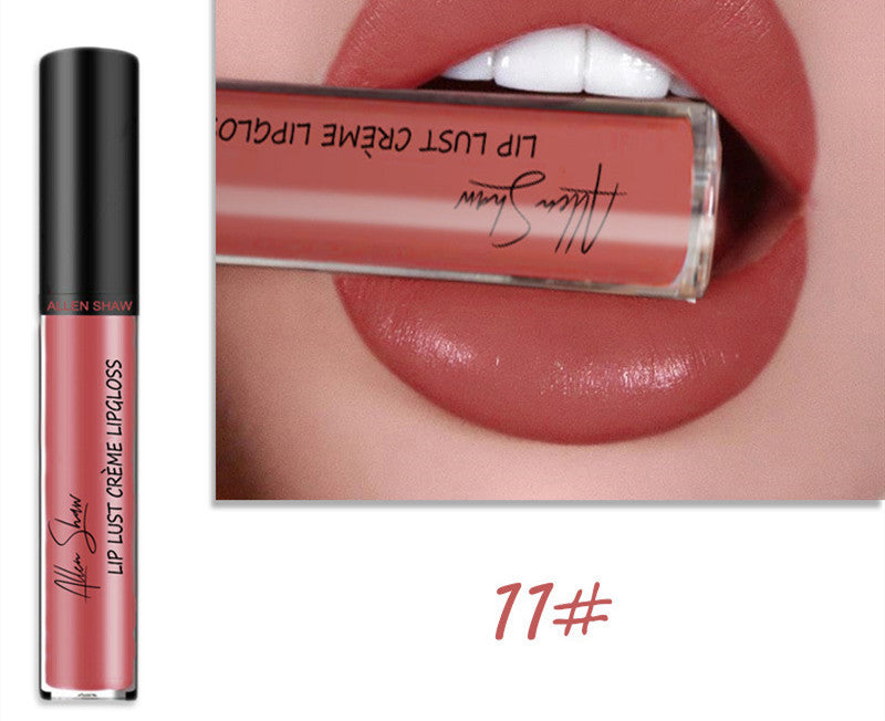 ALLEN SHAW Silky Cream Lip Gloss – Long-Lasting Mineral Lip Glaze (1pc)