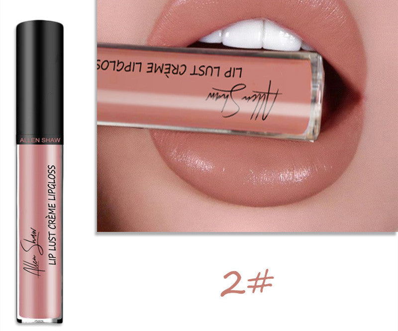 ALLEN SHAW Silky Cream Lip Gloss – Long-Lasting Mineral Lip Glaze (1pc)