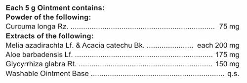 Charak Pilief Ointment – 20g × Pack of 2 | Ayurvedic Relief from Piles Pain & Itching