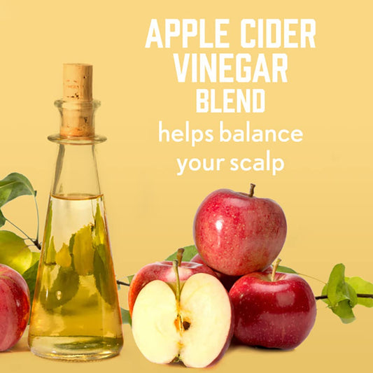 Aveeno Apple Cider Vinegar Shampoo & Conditioner Set | Clarifying, Nourishing & Shine Boost for Oily or Dull Hair | Paraben & Dye-Free (12 fl oz, 2-Pack)