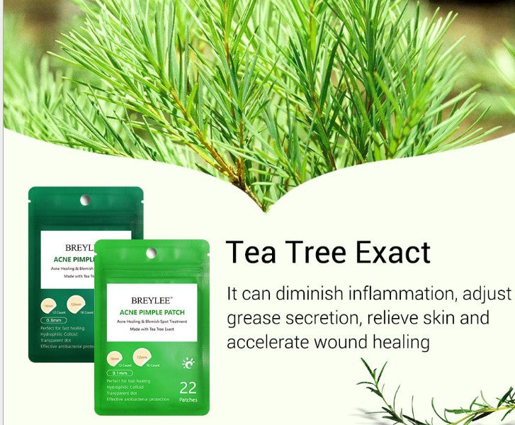 BREYLEE Ultra-Thin Tea Tree Acne Patch – Pimple Healing & Scar Care