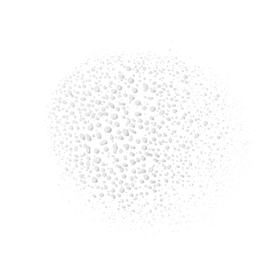 Revlon ColorStay 24 Hr Lock Setting Mist – Mattifying & Oil-Absorbing Makeup Setting Spray with Superfood Detox Blend – Transfer-Proof, Mask Friendly – 1.9 fl oz