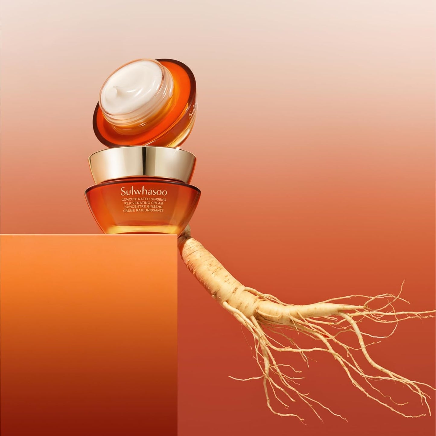 Sulwhasoo Concentrated Ginseng Cream – Korean Anti-Aging Moisturizer with Peptides, Vitamin C & Squalane for Wrinkles & Hydration (60ml)