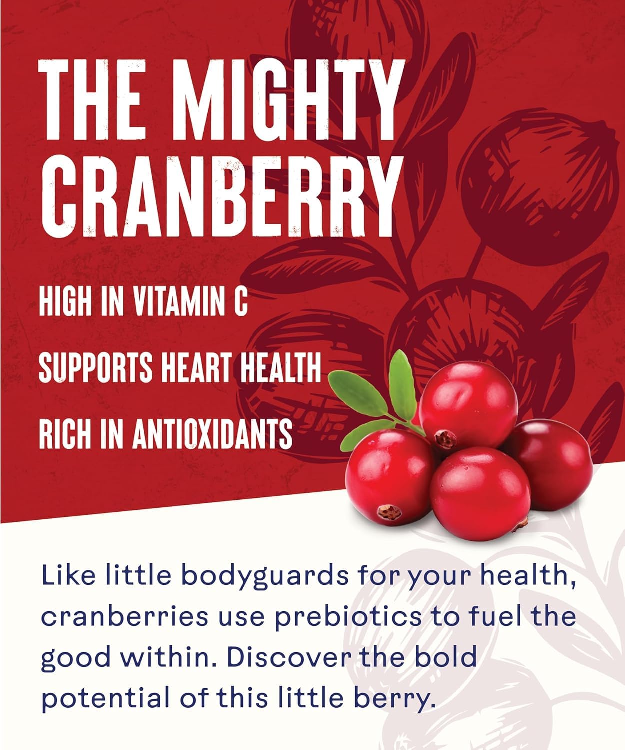 Ocean Spray Cranberry Classic Juice – Rich in Vitamin C & Antioxidants (2 x 1000ml, Imported USA)