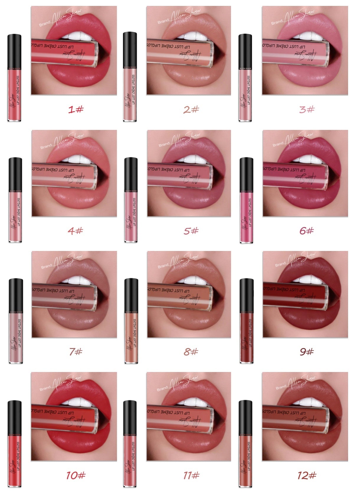 ALLEN SHAW Silky Cream Lip Gloss – Long-Lasting Mineral Lip Glaze (1pc)