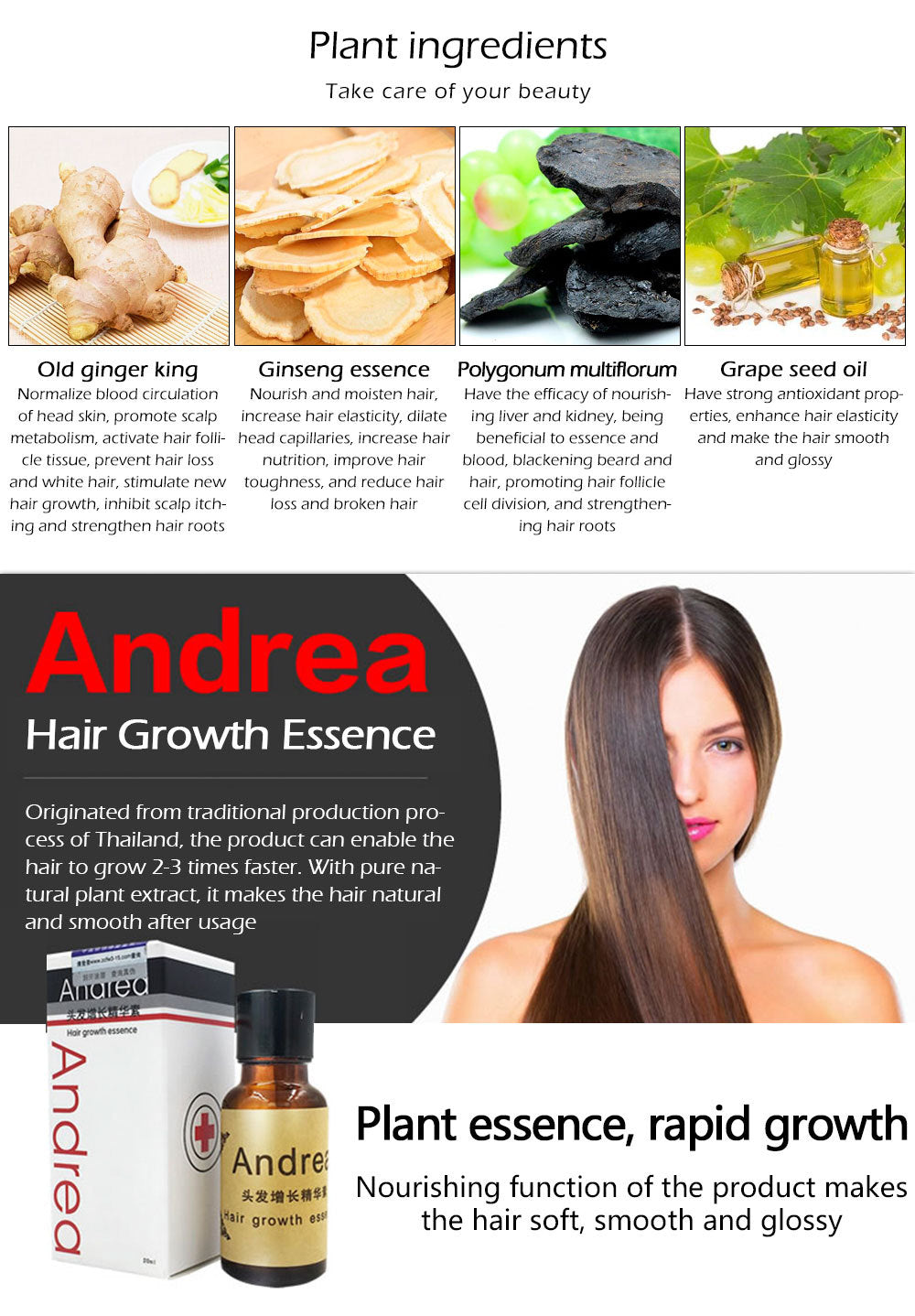 Andrea Hair Growth Serum – Anti-Hair Loss & Thickening Oil Treatment (20ml)