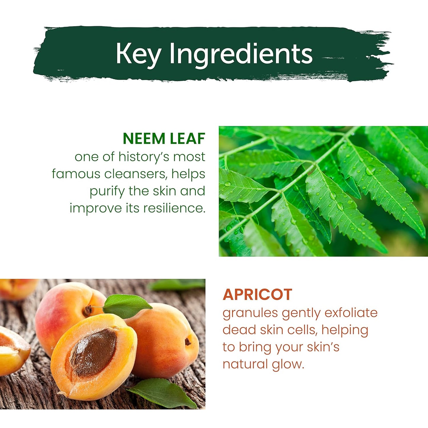 Himalaya Purifying Neem Scrub – Exfoliating Face Scrub with Neem & Apricot | Paraben-Free, SLS-Free, Dermatologically Tested | For Normal to Oily Skin – 150mL