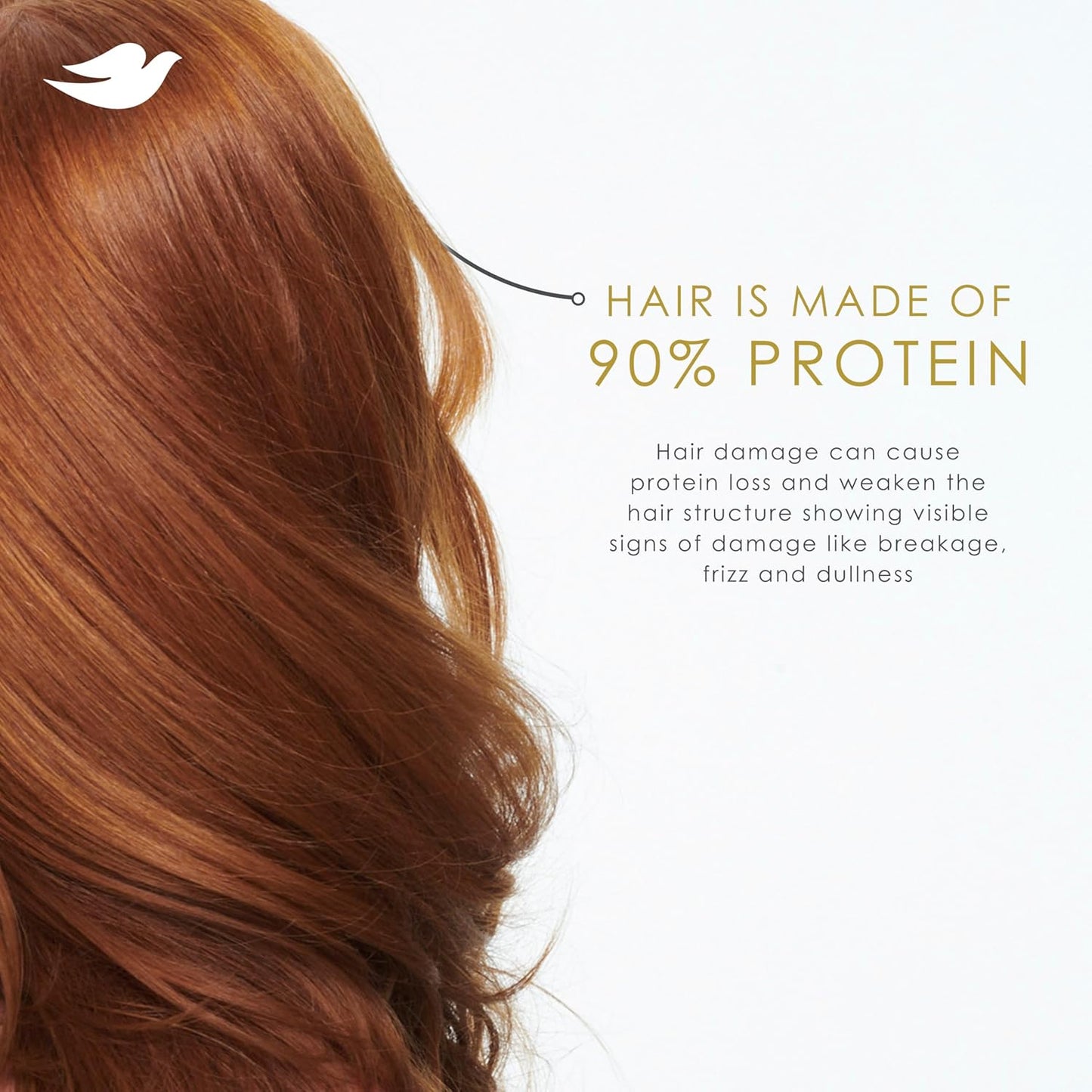Dove Daily Moisture Shampoo | Damage Therapy for Dry Hair | With Bio-Protein Care & Hyaluronic Serum | 28 fl oz