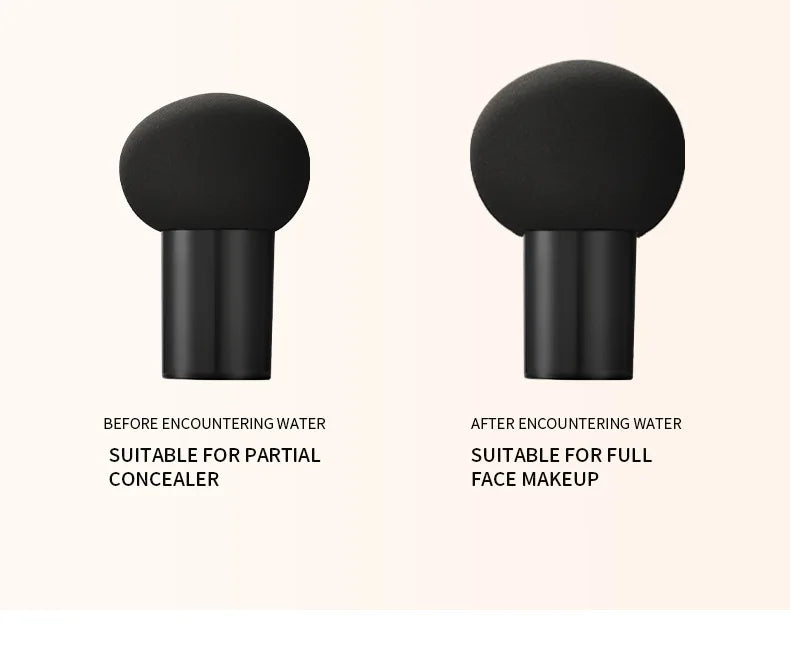 كريم LIDORIA Mushroom Head Air Cushion CC - كريم أساس للتحكم في الزيوت، ومرطب