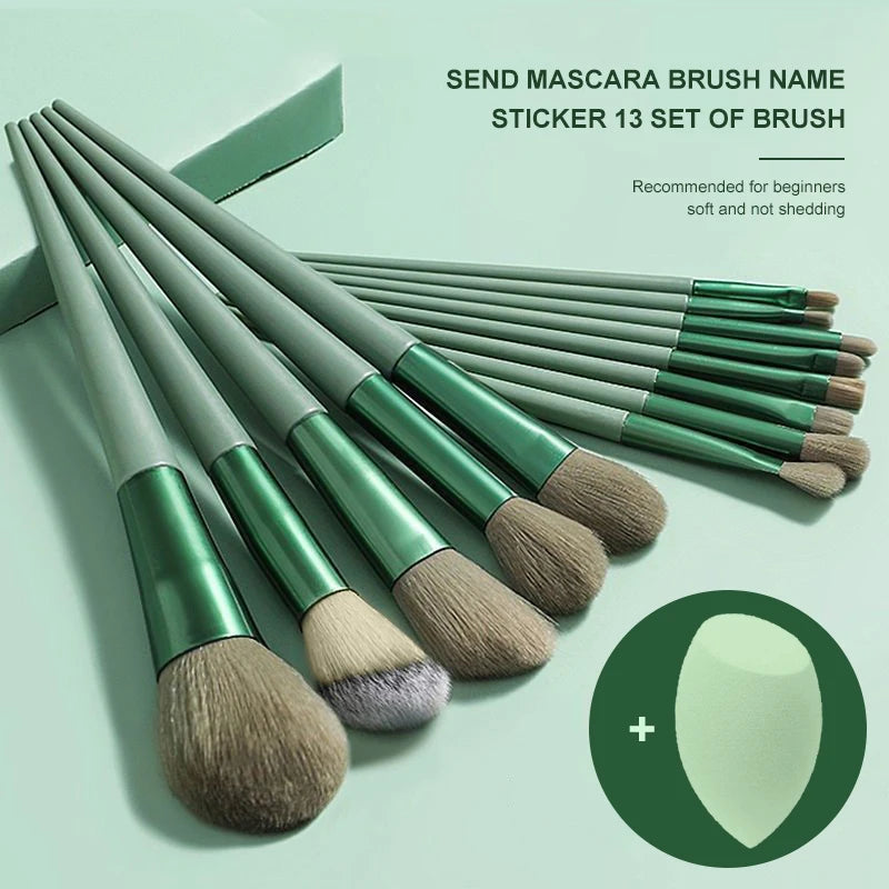 CALIYI 14PCS Professional Makeup Brushes & Sponge Set for Women