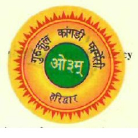 Gurukul Kangri Surma Black – Ayurvedic Herbal Kajal for Eye Comfort & Clarity (5g)