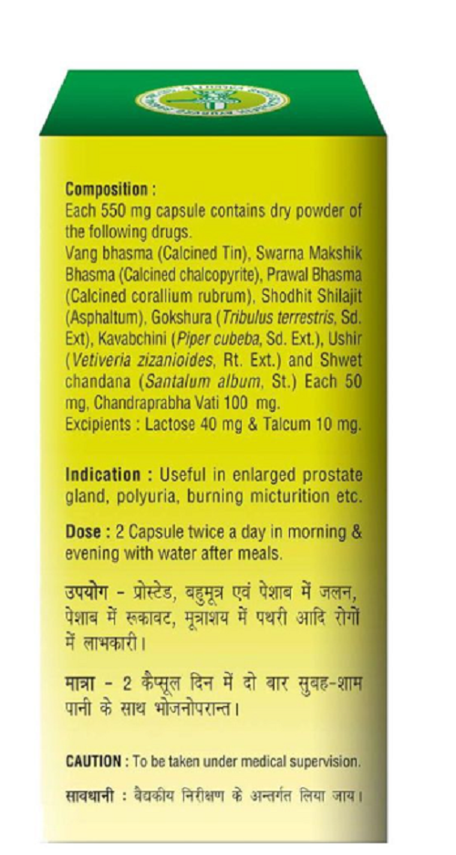 Baidyanath Prostaid Capsule – Ayurvedic Prostate & Urinary Tract Support (60 Capsules)