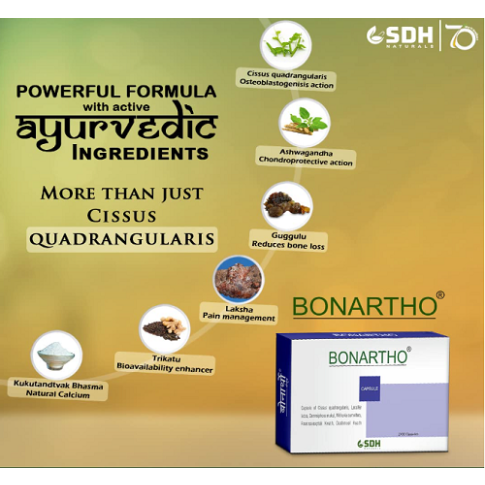 Shree Dhanwantri Bonartho Capsules (60 Capsules) – Ayurvedic Bone & Joint Support