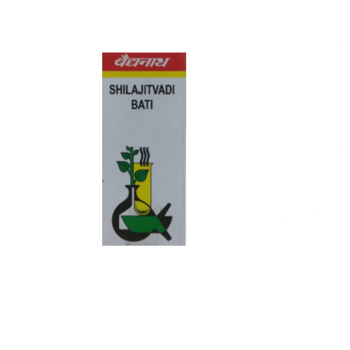 Baidyanath Shilajitvadi Bati – Energy, Immunity & Diabetes Support Ayurvedic Tablets