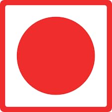 Maggii Chicken Stock Cubes – Rich Chicken Flavor Enhancer for Soups, Gravies & Rice (8 Cubes × 20g, Imported)