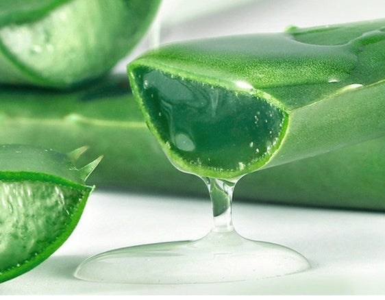 Gel de aloe vera LuxuryGlow de cuerno de buey: crema facial hidratante y calmante (260 g)