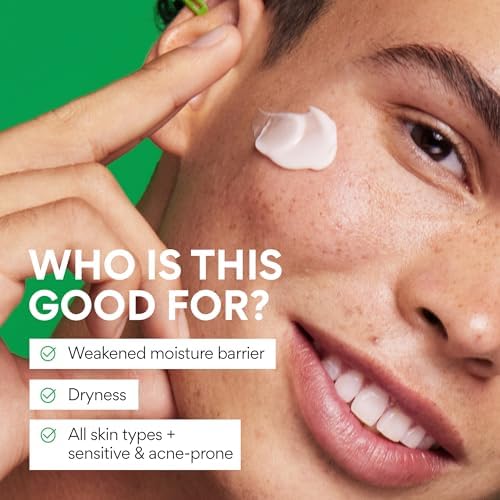 Innisfree Green Tea Seed Hyaluronic Acid Cream – Hydrating Korean Moisturizer with Ceramides & Barrier Boosting Complex (1.69 fl. oz)