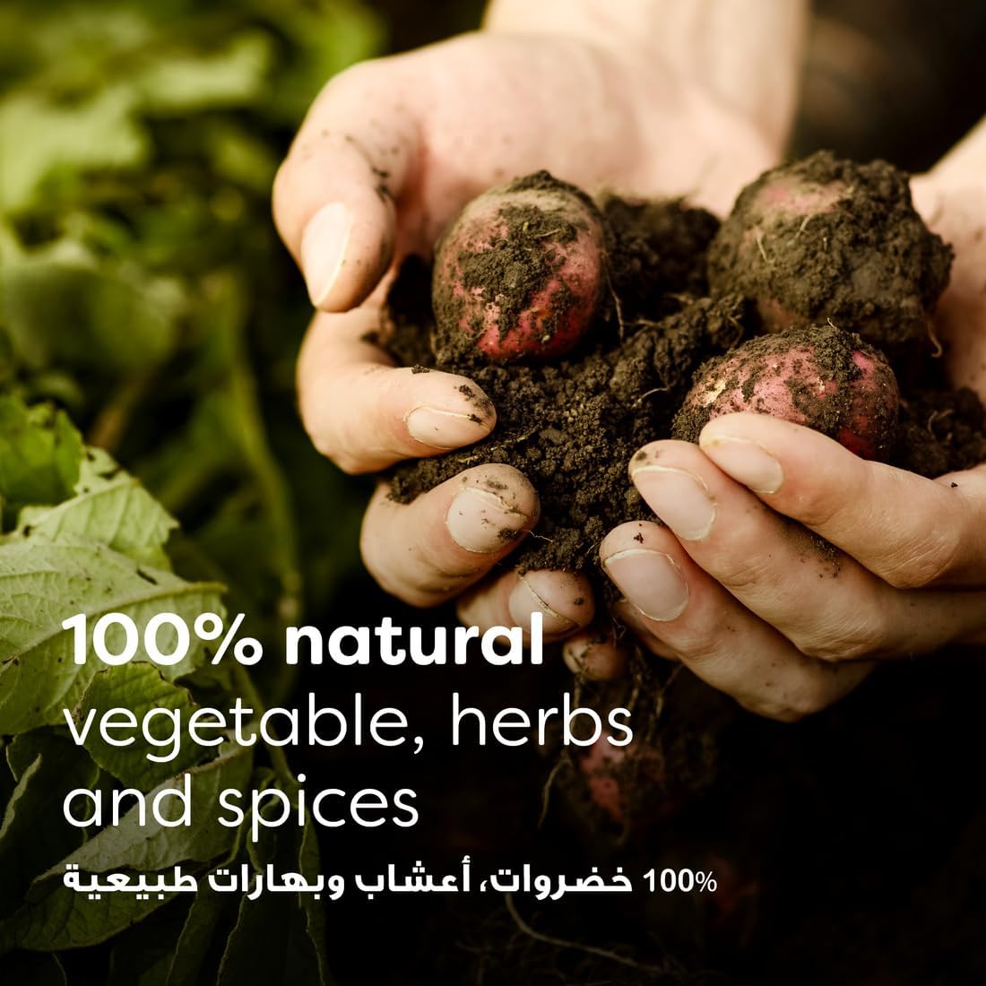 Knorr Chicken Stock Cubes 48 Pieces (24 x 2 Pack) | Made with 100% Natural Ingredients | Imported Cooking Bouillon