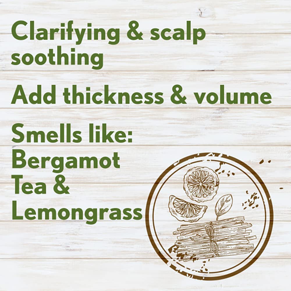 Aveeno Fresh Greens Shampoo & Conditioner Set | Sulfate-Free Clarifying & Volumizing Hair Care with Rosemary, Peppermint & Cucumber, Color-Safe (12 fl oz, 2-Pack)