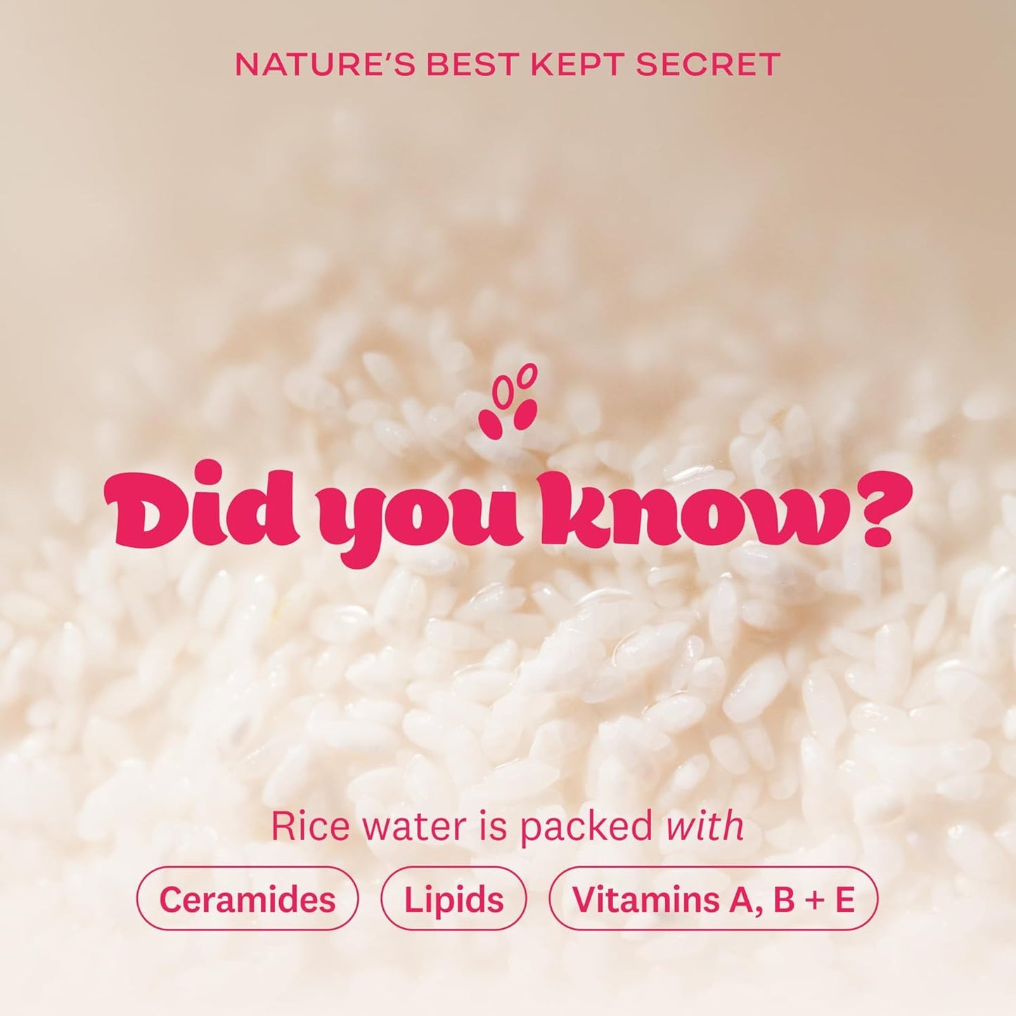 The Face Shop Rice Water Bright Foaming Facial Cleanser | Hydrating, Vegan & Gentle Korean Skincare