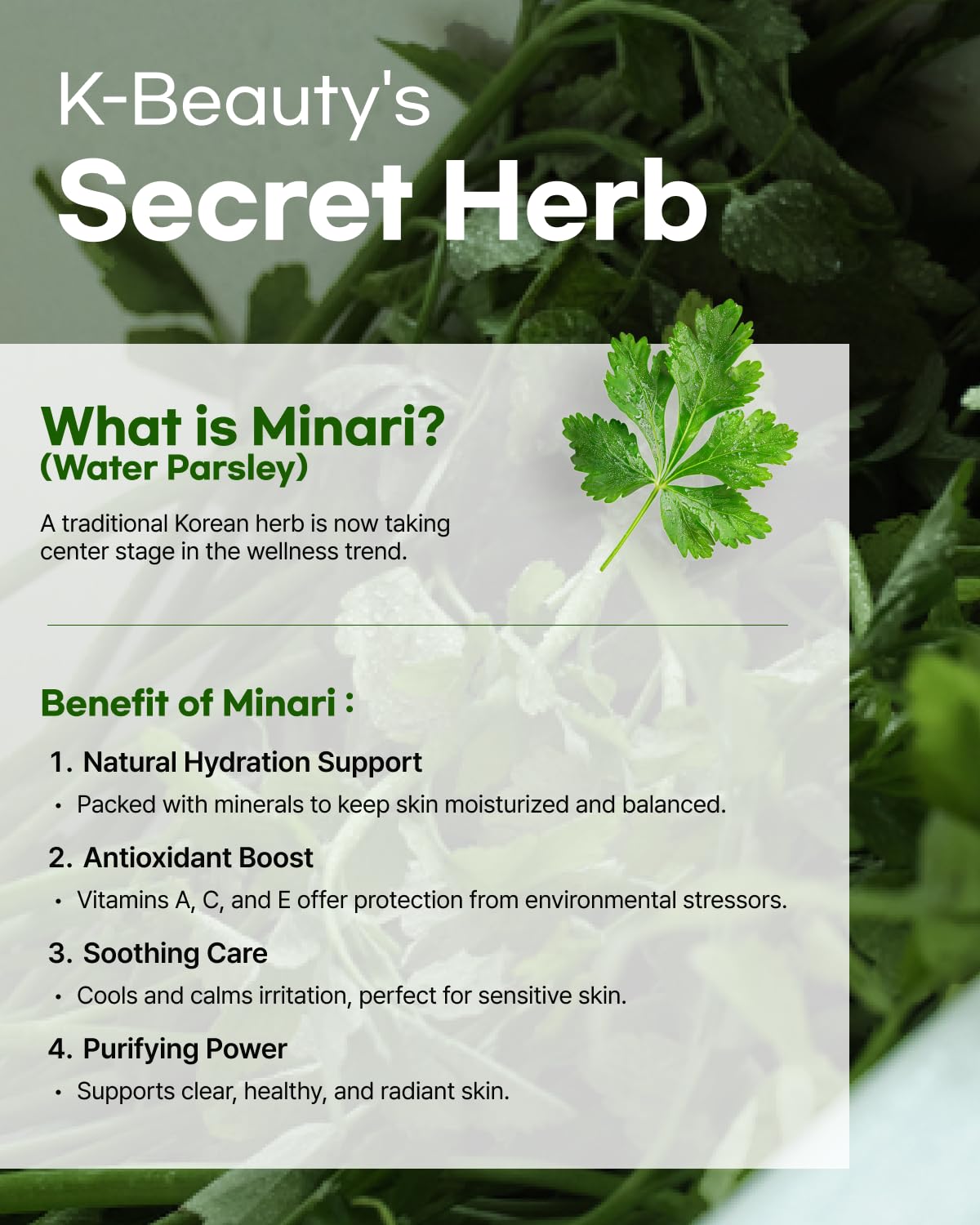 Minari Ampoule Cleanser – Korean Water Parsley & Kakadu Plum Extract | Hydrating, Gentle Daily Facial Cleanser, 70ml