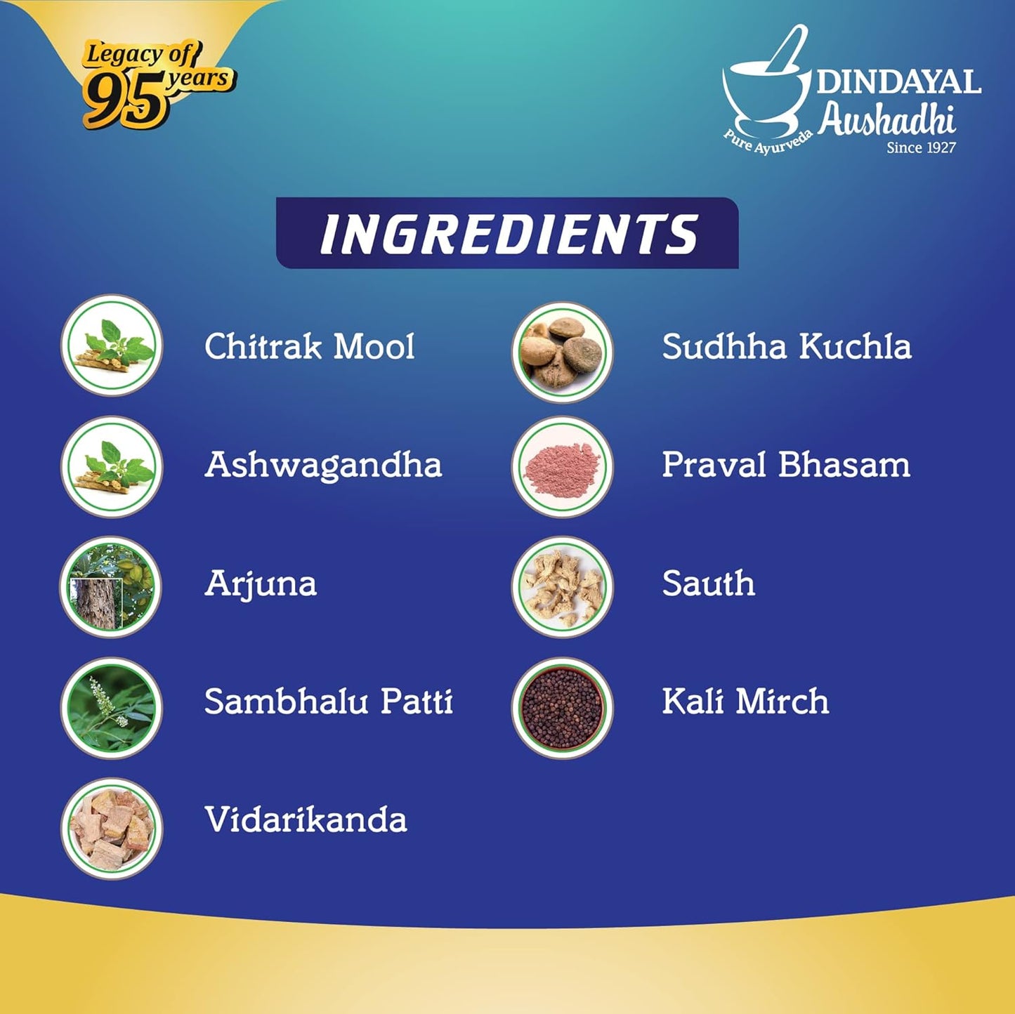 Dindayal Nervcare Tablets (30) | Ayurvedic Nerve & Brain Health Supplement | Relieves Back, Neck & Spine Discomfort