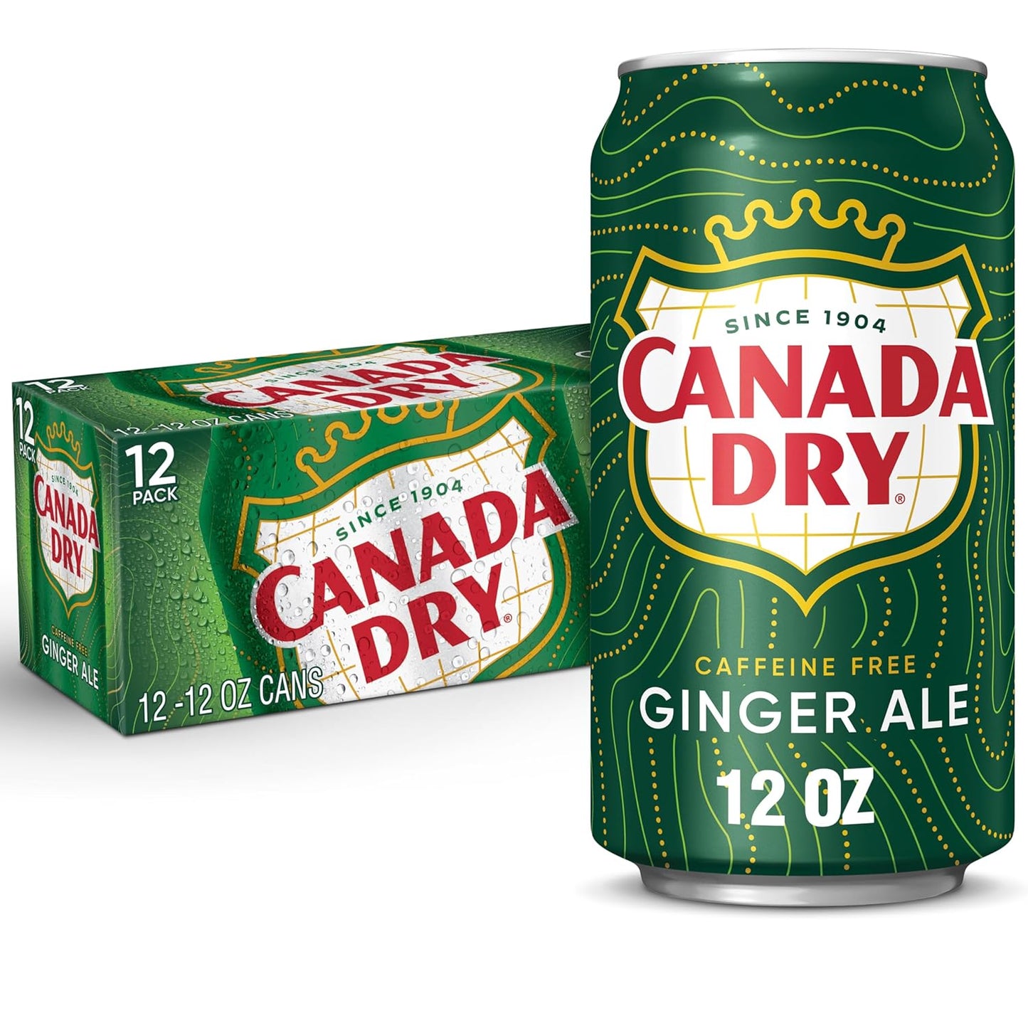 Canada Dry Ginger Ale – Refreshing Caffeine-Free Sparkling Drink, 355ml Imported Can