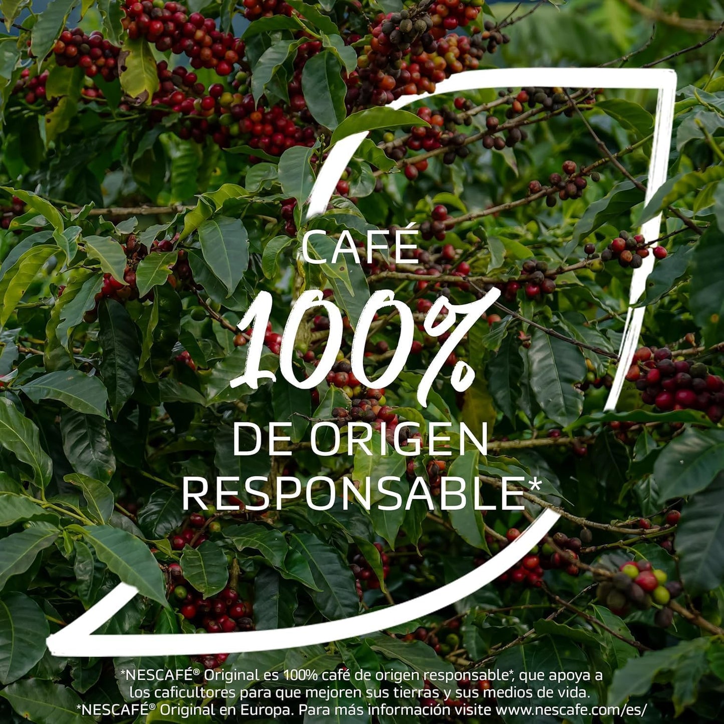 Ness.cafe.s Gold Organic Coffee Powder – 100% Arabica Freeze-Dried Premium Instant Coffee 100g (Imported)