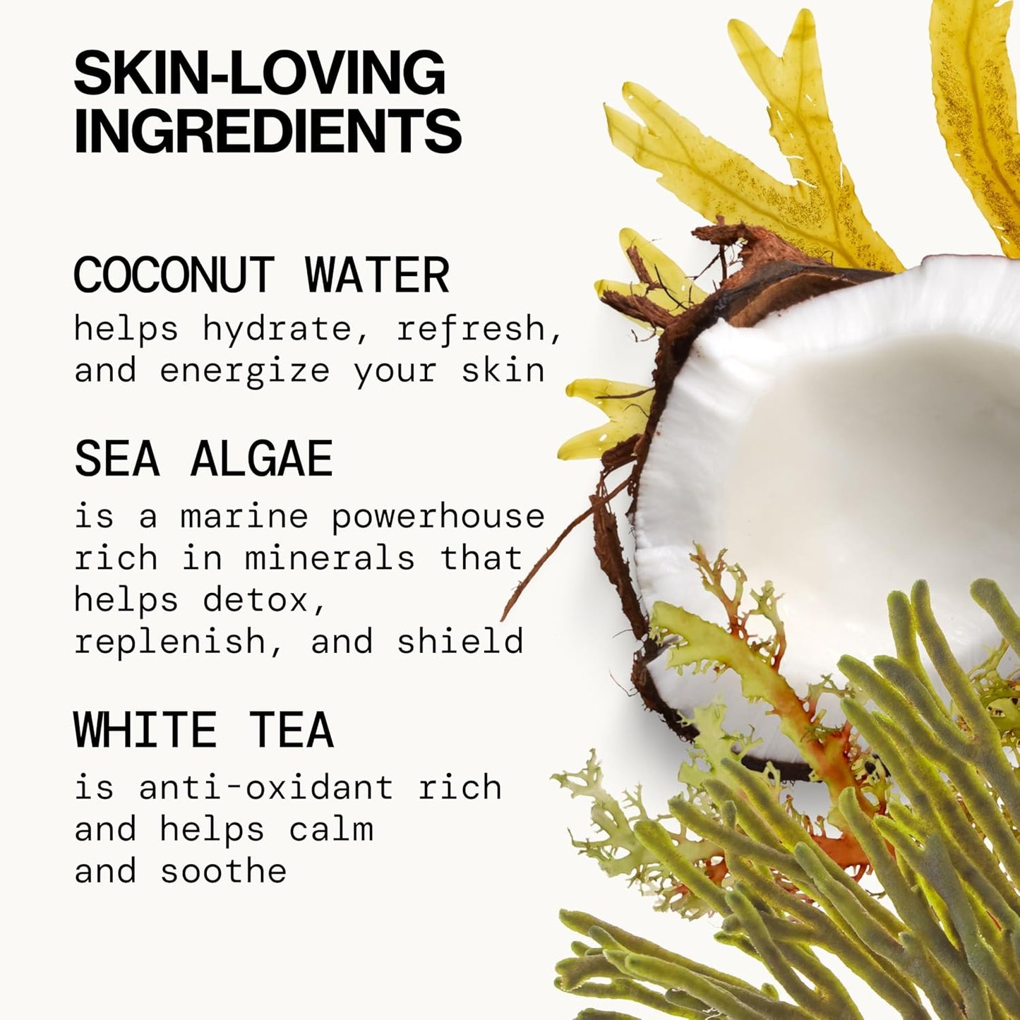 Pacifica Sea Foam Face Cleanser – Gentle Daily Wash with Coconut Water & Sea Algae for Oily & Combo Skin