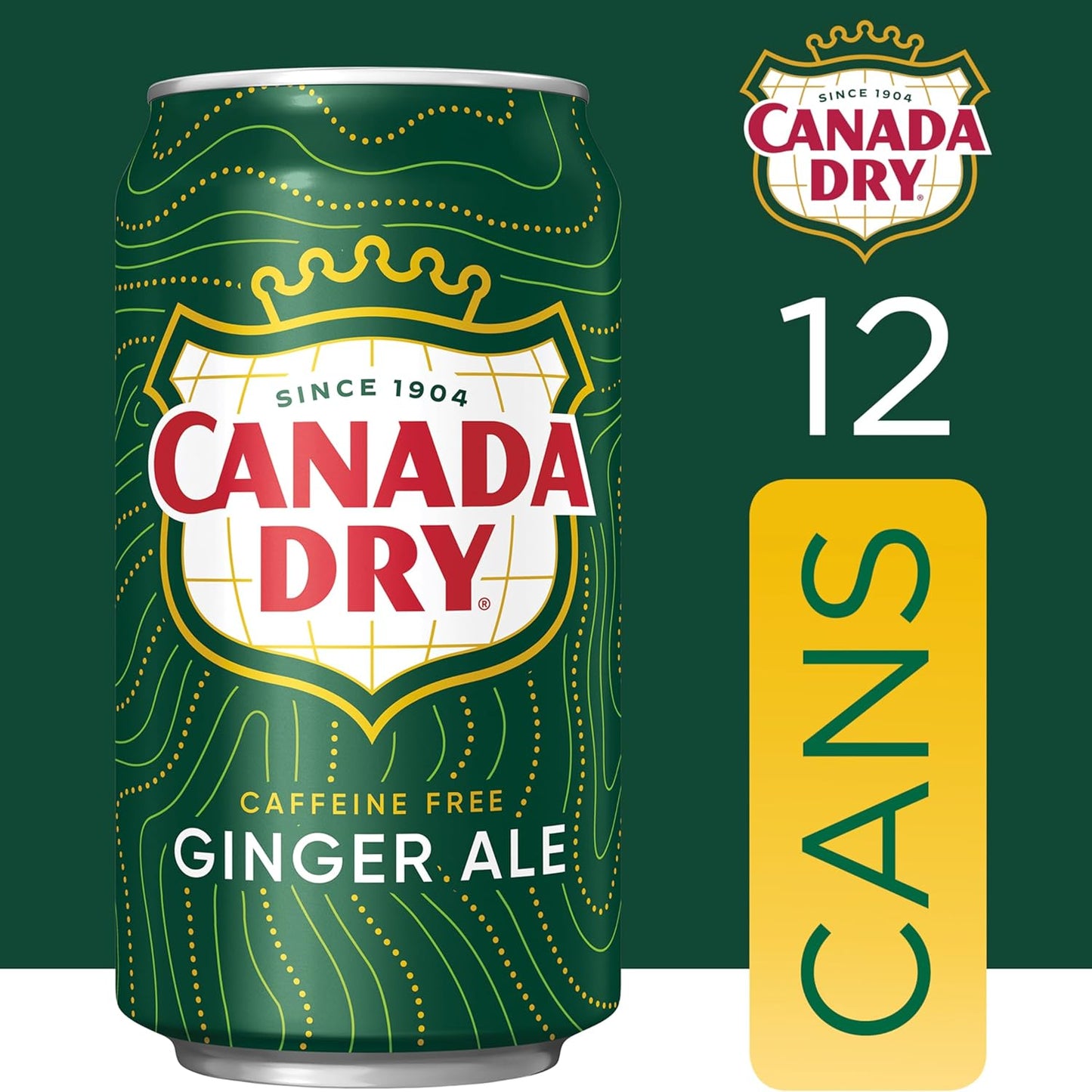 Canada Dry Ginger Ale – Refreshing Caffeine-Free Sparkling Drink, 355ml Imported Can