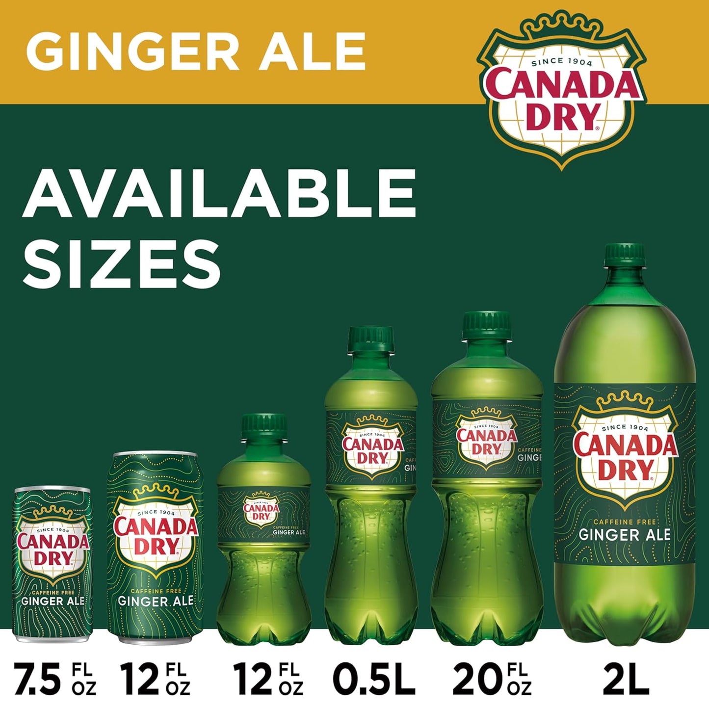 Canada Dry Ginger Ale – Refreshing Caffeine-Free Sparkling Drink, 355ml Imported Can