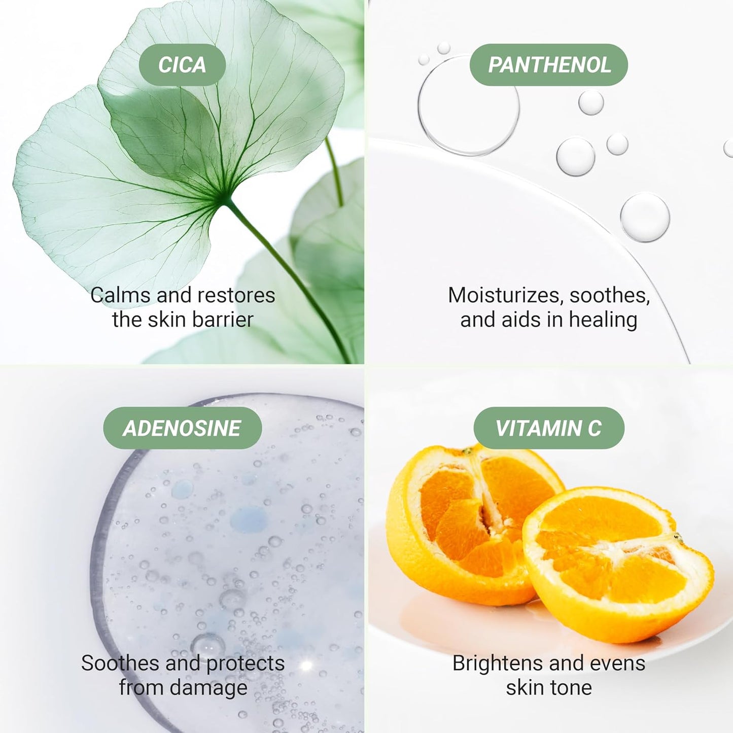 Meebak Korean Vitamin C Serum – Dark Spot Remover, Anti-Aging & Brightening Face Serum with Centella Asiatica, Panthenol & Adenosine