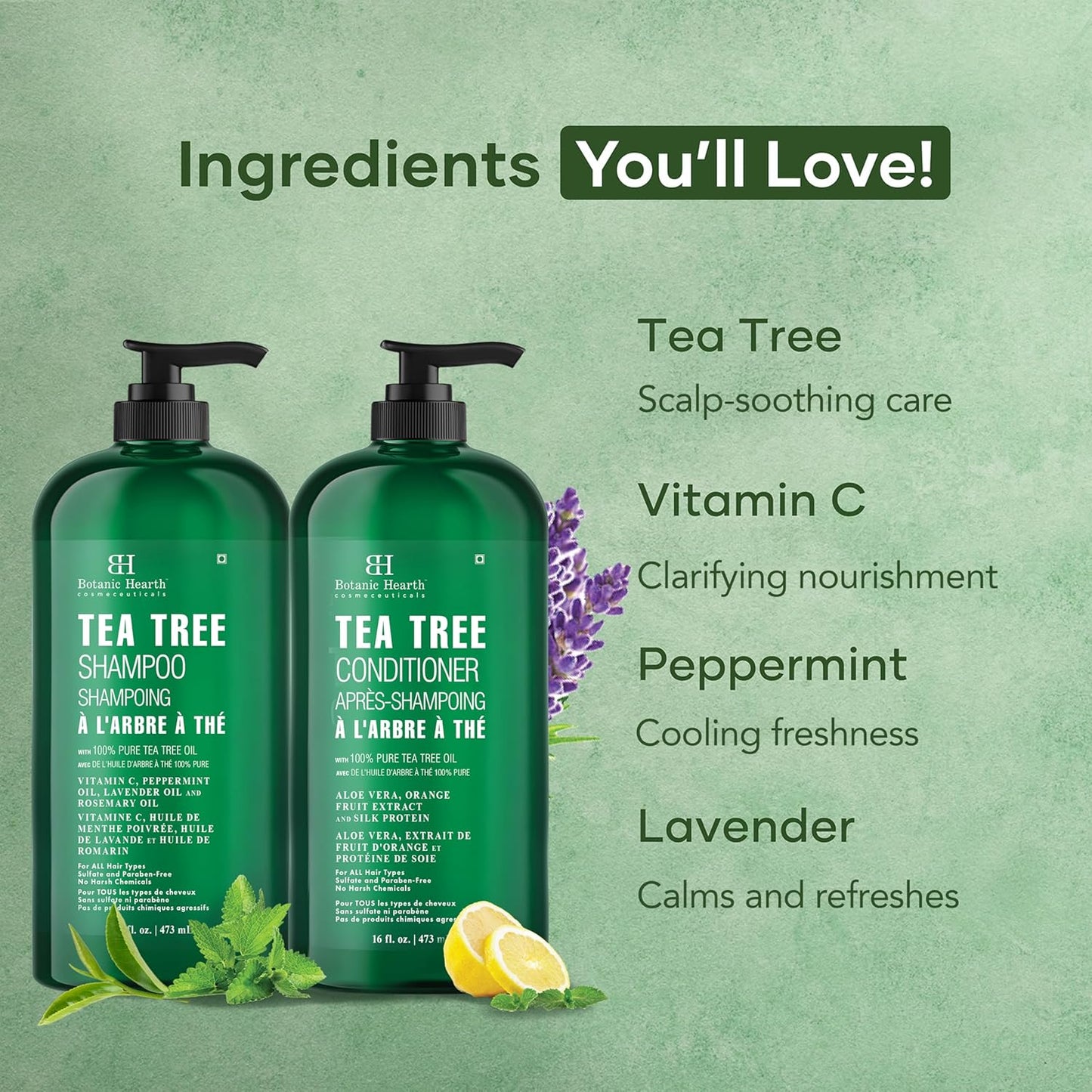 Botanic Hearth Tea Tree Shampoo & Conditioner Set – Sulfate-Free, Itchy & Dry Scalp Relief, Anti-Dandruff & Thickening Hair Care for Men & Women (16 fl oz × 2)