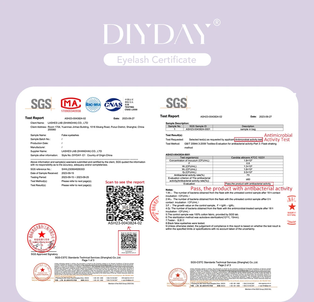 DIYDAY W-Shape Premade Eyelash Extensions – 3D to 8D Volume Fans for Natural Bloom Look C120