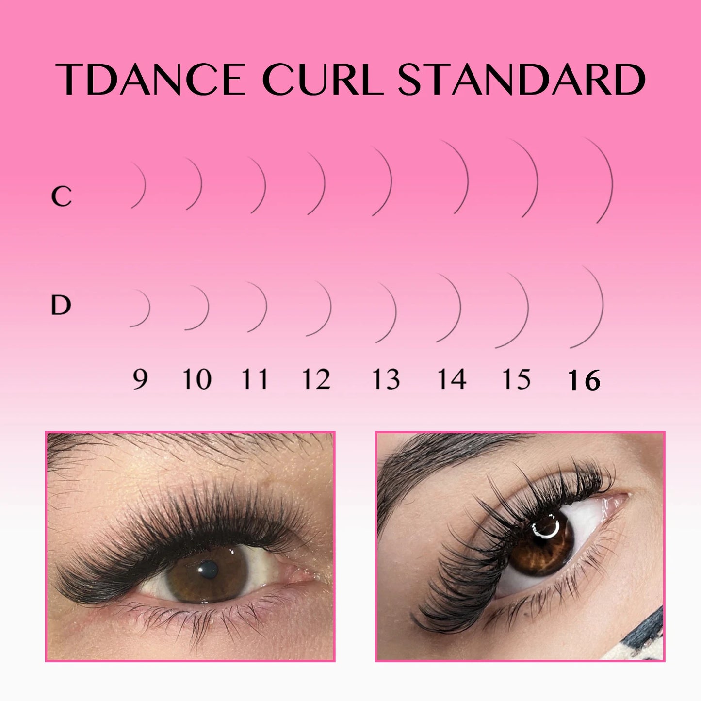 TDANCE Premade Loose Fan Eyelash Extensions – 500 Fans | 5D–16D Russian Volume Lashes C210