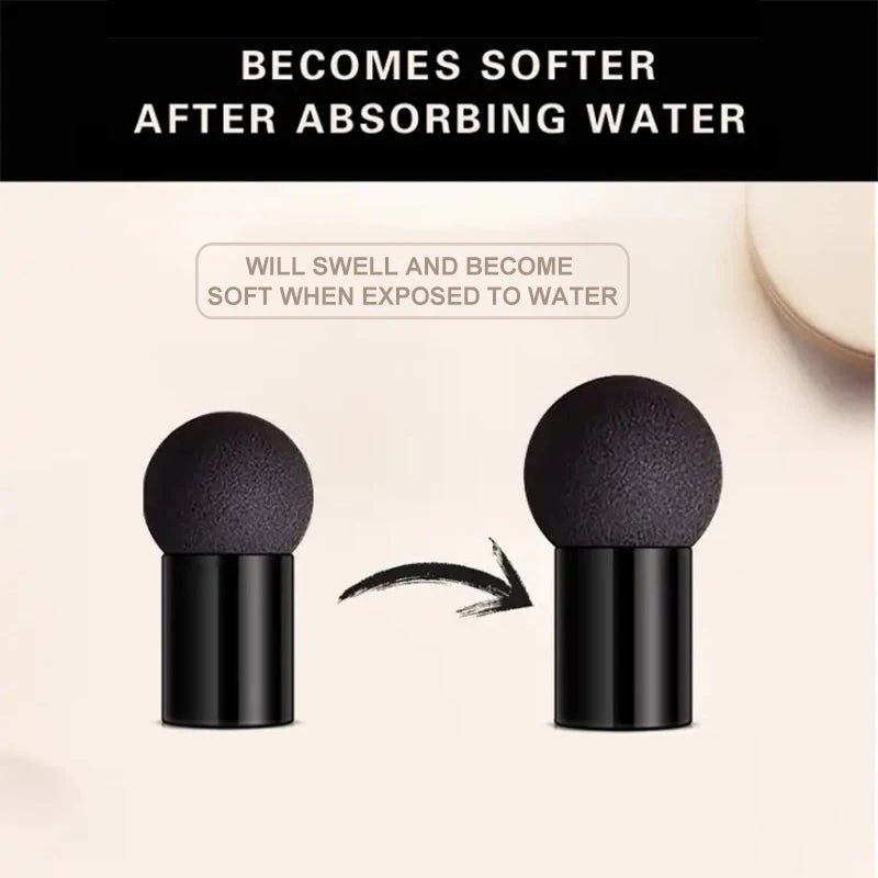 O’CHEAL Mushroom Head BB Cream – Long-Lasting, Waterproof Cushion Foundation