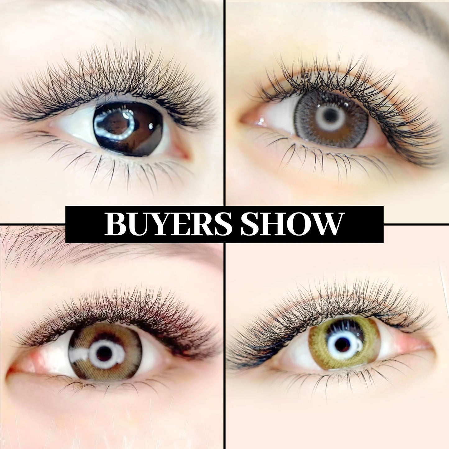 XIUSUZAKI W-Shaped Premade Fan Eyelash Extensions – 2D to 8D Automatic Blooming Lashes C30