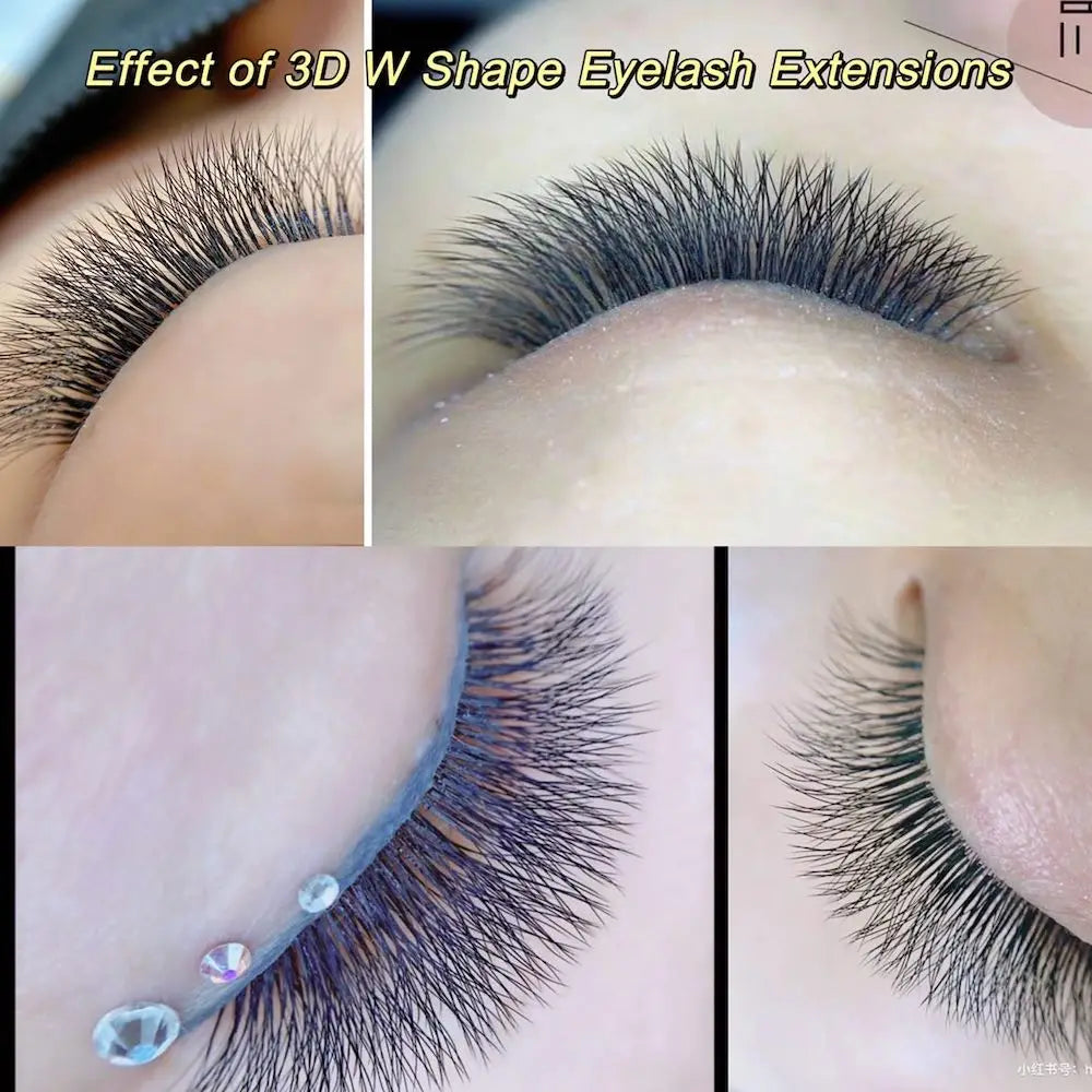 NAGARAKU W Shape مراوح الرموش المصنوعة مسبقًا - 3D / 4D / 5D / 6D Auto Bloom