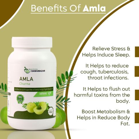 Dawaibazar Amla Churna 100g – 100% Organic Amla Powder for Hair & Wellness - LUXURY GLOW