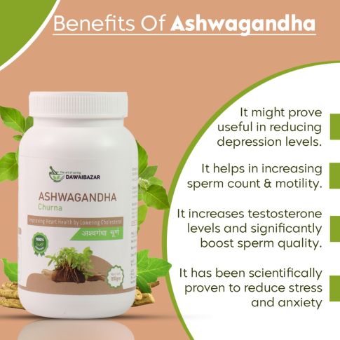 Dawaibazar Ashwagandha Churna 100g – Organic Ayurvedic Strength & Wellness Powder - LUXURY GLOW