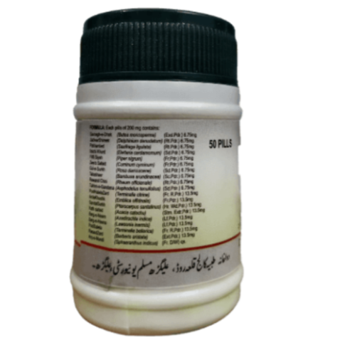 DTC Habb-E-Bawaseer Badi 50 Tablets – Unani Support for Piles & Digestive Comfort - LUXURY GLOW