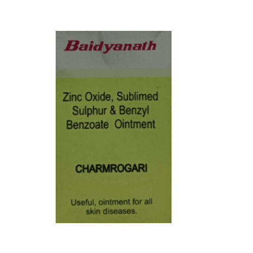 Baidyanath Charmrogari Malham – Ayurvedic Ointment for Skin Infections & Irritation Relief