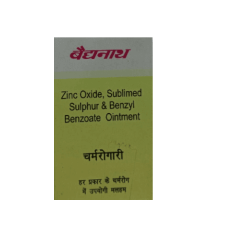 Baidyanath Charmrogari Malham – Ayurvedic Ointment for Skin Infections & Irritation Relief