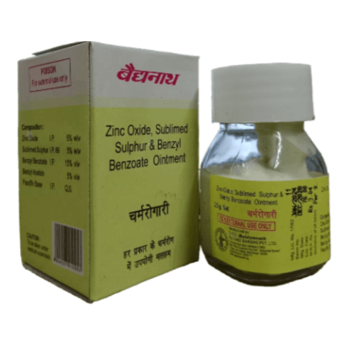 Baidyanath Charmrogari Malham – Ayurvedic Ointment for Skin Infections & Irritation Relief