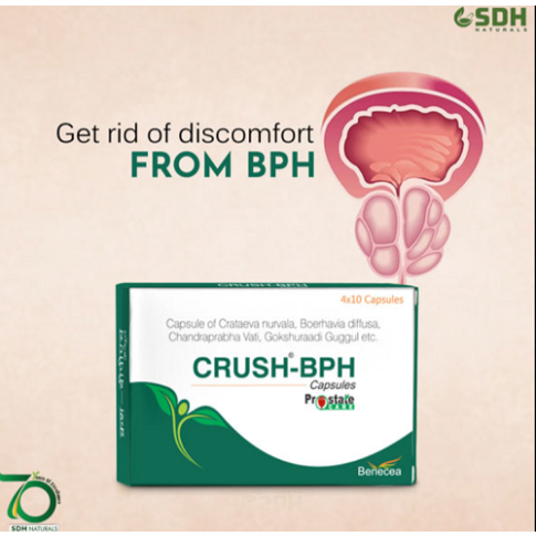 Shree Dhanwantri Crush-BPH Capsule for Prostate & Urinary Health (40 Capsules)