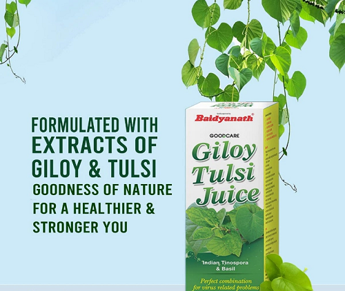 Baidyanath Giloy Tulsi Juice 1L – Natural Immunity Booster, Detox & Respiratory Support