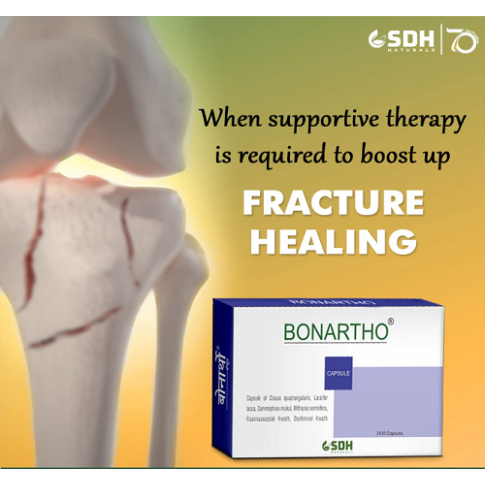 Shree Dhanwantri Bonartho Capsules (60 Capsules) – Ayurvedic Bone & Joint Support