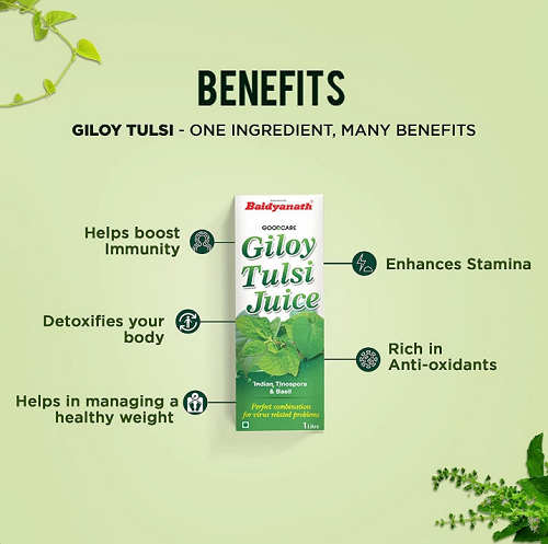 Baidyanath Giloy Tulsi Juice 1L – Natural Immunity Booster, Detox & Respiratory Support